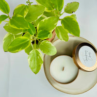 Thinking Chair - 5oz