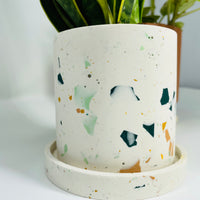 Terrazzo Planter